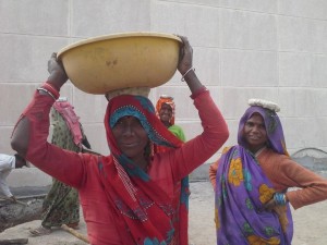 1477460_10203030040501946_8498599661191537688_n