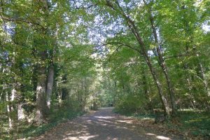 12195074_921674154546914_6956747596540145945_o